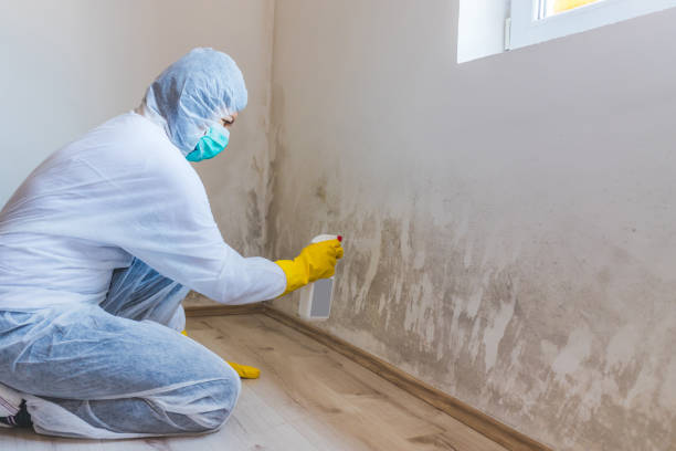Bathroom Mold Removal assessment in Fairview bathroom